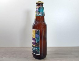 leeuw bier proeffles winterswit zijkant
